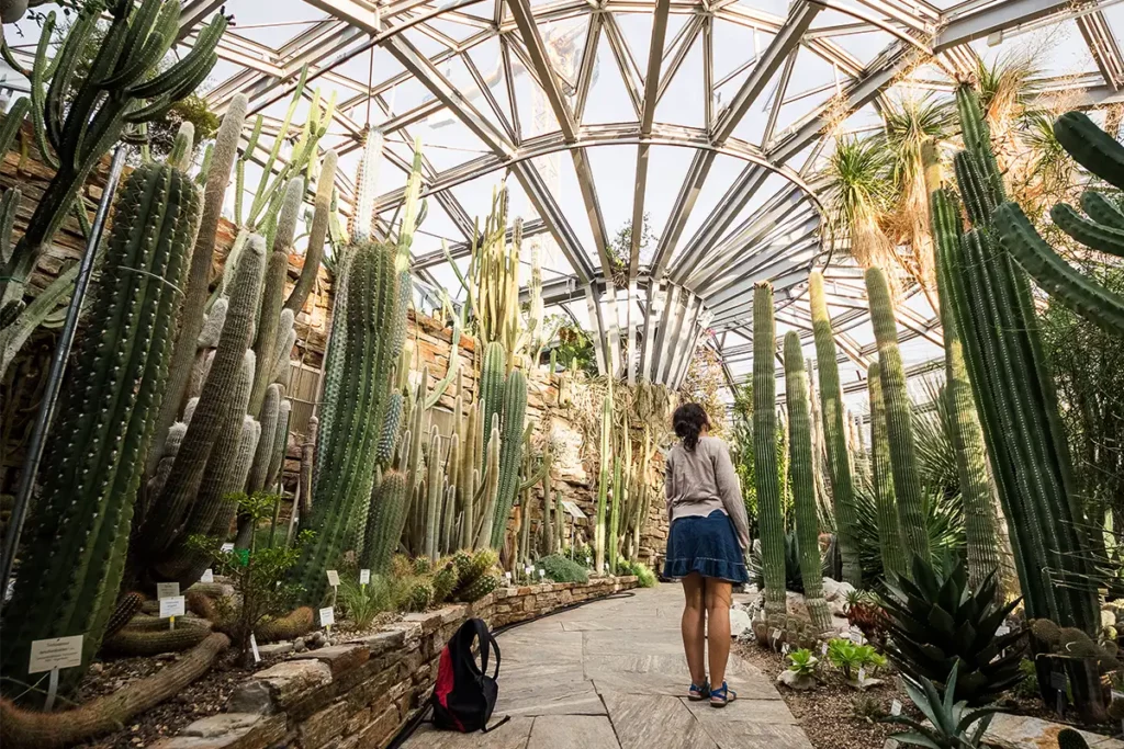 Botanischer Garten Berlin