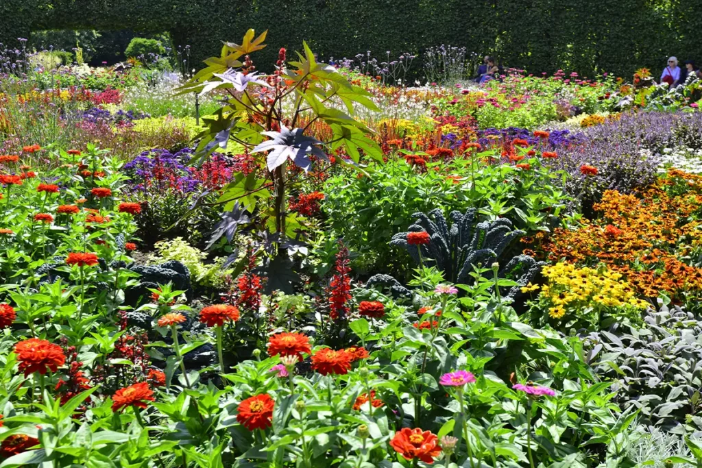 Grugapark Blumen