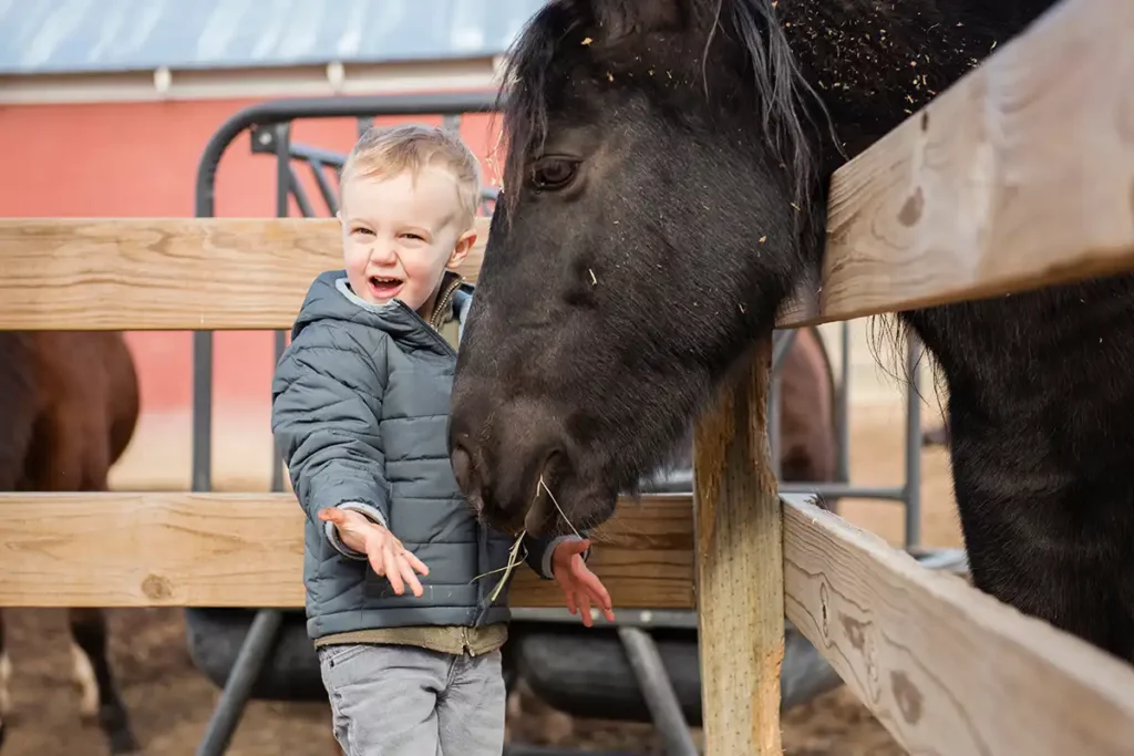 Sindlinger Glückswiese