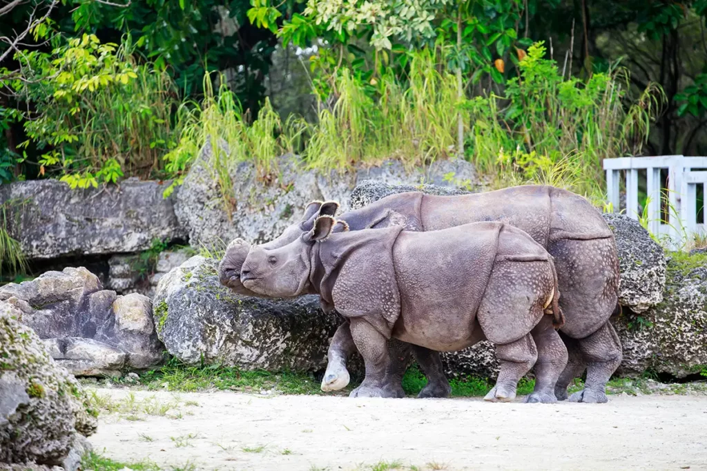 Tierpark Hellabrunn