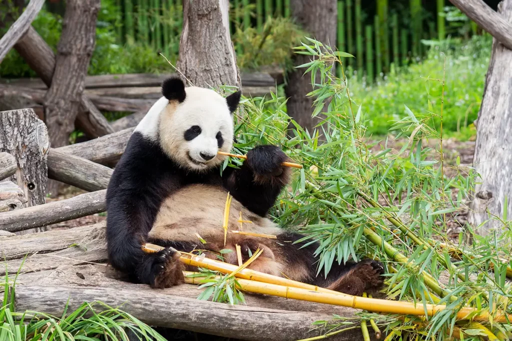 Zoo Berlin